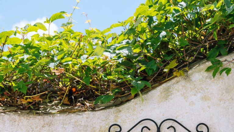 Como decorar uma casa com pouco dinheiro? Como decorar uma casa com pouco dinheiro?